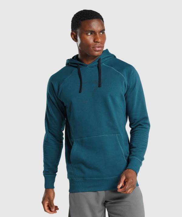 Panske Mikiny S Kapucňou Gymshark Sharkhead Infill Tyrkysové | CR0789623
